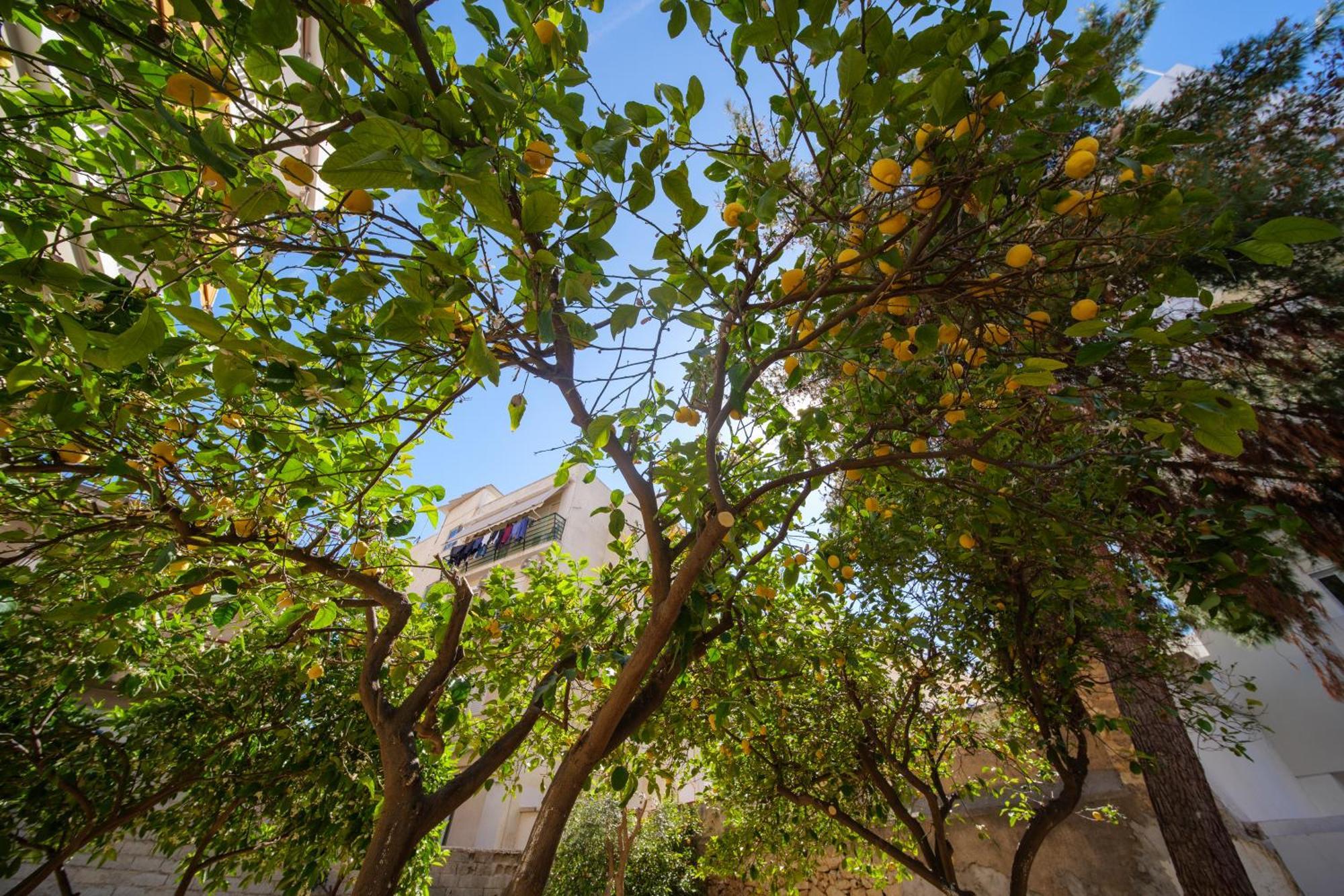 Peaceful Private Vipgreece Appartement